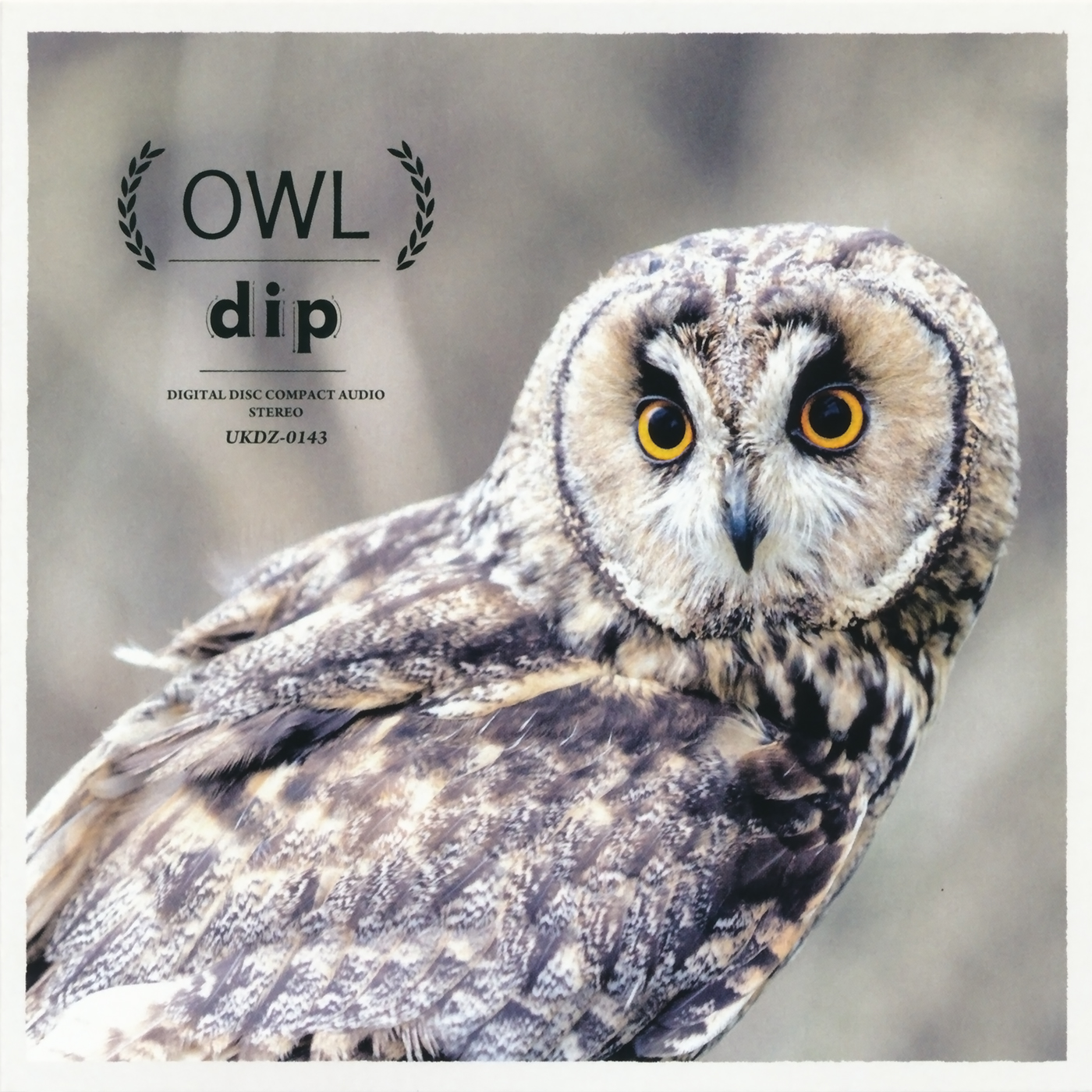 dip_OWL