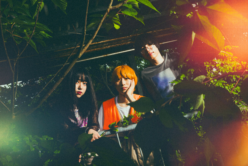 2507ライティライト_アーティスト写真2025_M