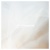 the-shes-gone-「まぼろし」ジャケットデータ_S (1)