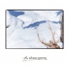the-shes-gone-「Winterboy」ジャケットS (1)
