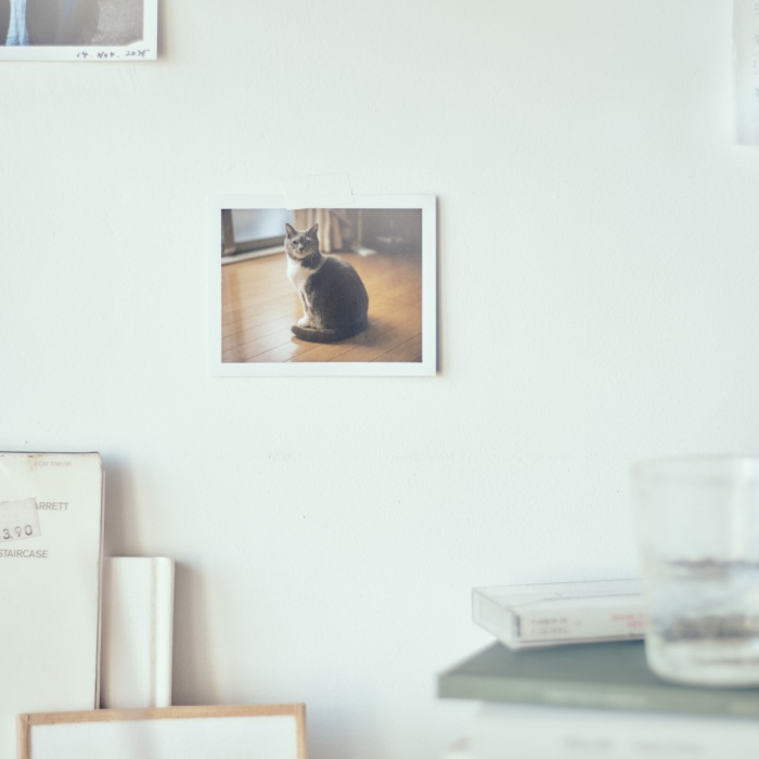 odol_slow blink_jacket S (1)