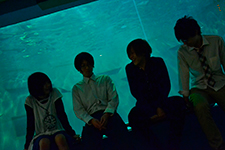 DolphinWorks