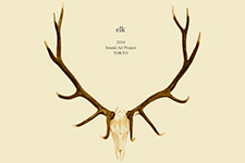 elk